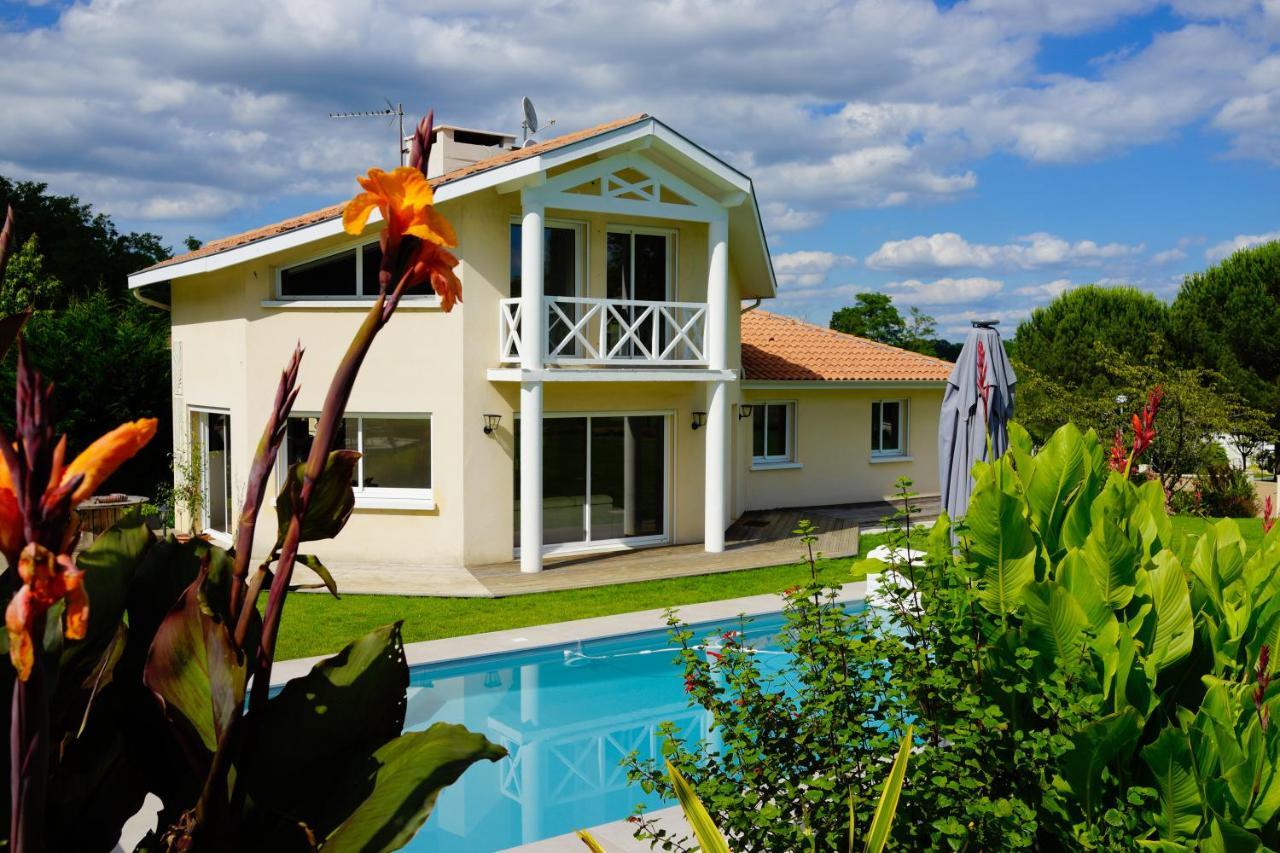 Villa Alba. Piscine Grand Jardin Hauts De Bordeaux Carignan-de-Bordeaux 외부 사진