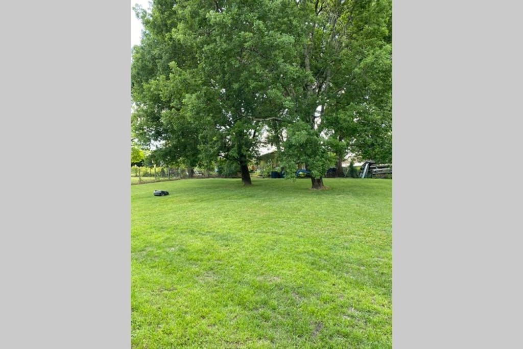 Villa Alba. Piscine Grand Jardin Hauts De Bordeaux Carignan-de-Bordeaux 외부 사진